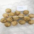 2017 new crop walnut in shell